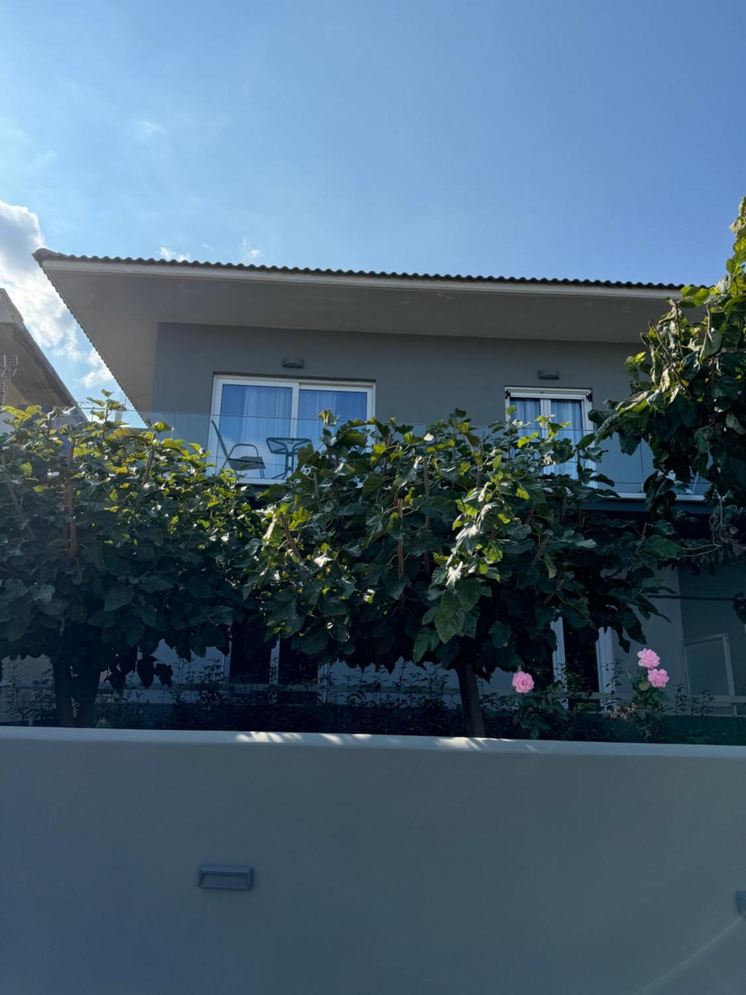 Artemis Apartments Diakopto Bagian luar foto